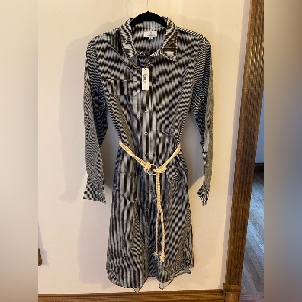 AG Striped Belted Shirt Dress
